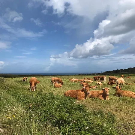 Casinha Da Cabra, Casas Do Poente, Rogil, *